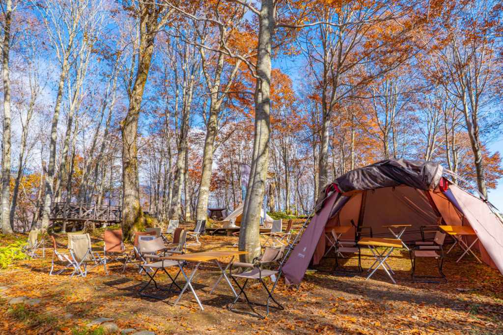 秋のキャンプ風景