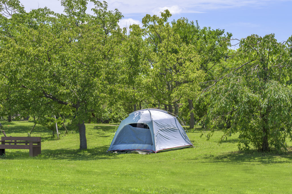 公園に設置されたテント